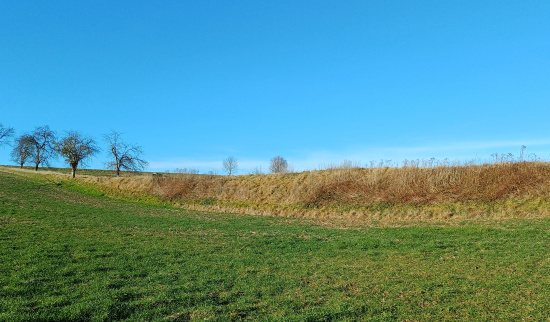 Talsenke bei Luga Foto: Carsten Simank