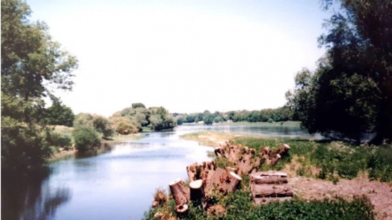 Hirschsteiner Lache Foto: NABU-RV Großenhainer Pflege