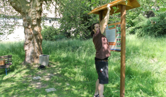 Carsten Simank von der NABU-Ortsgruppe Heynitz bei der Aufstellung der neuen Lehrtafel zum Thema einheimische Wildbienen Foto: Eike von Watzdorf
