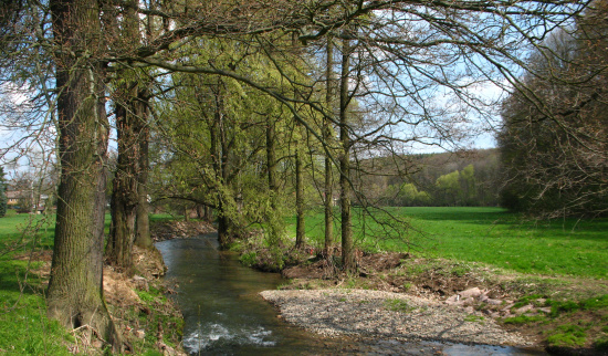 Triebitschtal bei Roitzschen Foto: Cornelia Mäser