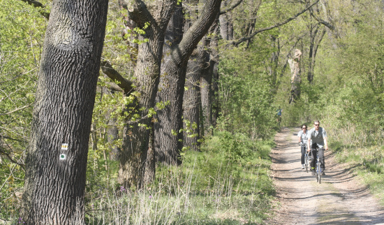 Radfahrer in der Natur Foto: NABU/Helge May