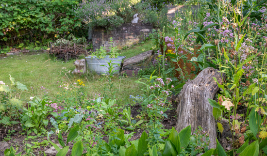 Naturnah gestalteter Garten - Lebensraum für zahlreiche Arten Foto: NABU/Sebastian Hennigs