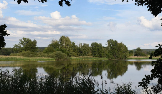 Würschnitzer Teichgebiet Foto: Volker Wilhelms
